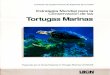 Estrategia Mundial para la Conservación de las Tortugas ... · PDF fileLa producción y publicación de Estrategia Mundial para la Conservación de las Tortugas Marinas ha sido posible