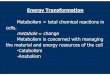 Metabolism = total chemical reactions in cells. metabole ... · PDF fileEnergy Transformation Metabolism = total chemical reactions in ... -Anabolism consumes energy to build or 