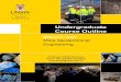 Undergraduate Course Outline - Engineering · PDF fileEngineering Undergraduate Course Outline ... (3rd ed. 2005) published by Springer. ... • Rock Slope Engineering