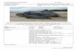 NOMBRE CIENTÍFICO: Dermochelys coriacea (Vandelli, · PDF filePágina 2 de 12 martes, 01 de diciembre de 2015 ANTECEDENTES GENERALES Aspectos Morfológicos Es la tortuga marina de