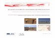 Armed Conflicts and Natural Resources - Africa-EU · PDF filecollect and to analyse the data related to the link between armed conflicts and natural resources. Four ... resources exploitation