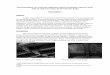 Oregon History of Cathodic Protection - PWRI · PDF fileof cathodic protection (CP) ... (600 ft), two flanking steel deck arches, seven concrete deck arches and numerous approach spans,