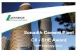 Sonadih Cement Plant CII -SHE Award Sonadih.pdf · Overview A S J Lafarge, Arasmeta M J J Lafarge, Chittaurgarh Lafarge, Bhiwani Sonadih Cement Plant is having two Clinkerisation