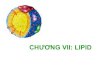 CHƢƠNG VII: LIPID -   · PDF fileKhông cần biotin Biotin cho p/ứng carboxyl hóa Cần FAD, NAD+ Cần NADPH Sản sinh ATP Tiêu tốn ATP