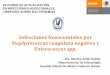 Infecciones Nosocomiales por Staphylococcus coagulasa ...himfg.com.mx/descargas/documentos/epidemiologia/Presentaciones... · (Anormalidades en la serie blanca y de la temperatura