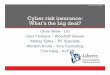 Cyber risk insurance: What’s the big deal? - Meet us in ... · PDF fileCyber risk insurance: What’s the big deal? Oliver Brew ... security coverage . ... Total Cyber Events and