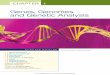 NOT FOR SALE OR DISTRIBUTION Genes, Genomes and · PDF fileGenes, Genomes and Genetic Analysis CHAPTER OUTLINE 1.1 DNA: The Genetic Material 1.2 DNA Structure and Replication 1.3 Genes