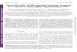 Chimeric MicroRNA-1291 Biosynthesized Efficiently in Escherichia coli ...dmd.aspetjournals.org/content/dmd/43/7/1129.full.pdf · Chimeric MicroRNA-1291 Biosynthesized Efficiently