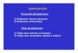 OSIFICACIÒN - Portal de Alumnos en Líneaacademico.upv.cl/doctos/KINE-6013/{7FB8C971-4846-45EF-AA91... · * Contribuye al crecimiento de huesos planos y al crecimiento en espesor