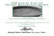Glass Guide 2013 - New Mexico Recycling · PDF fileUsing Recycled Glass as an Aggregate ... Glass cullet may also be used as an additive to Portland cement concrete. Using Recycled