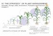 IX. THE STRATEGY OF PLANT · PDF filemendapatkan strategi pemeliharaan tanaman yang tepat dan efektif ... (DETERMINATE ) 2. ... fase vegetatif dan fase generatif bergantian. Contoh