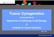 Tumor Cytogenetics - Welcome | Institute for Cancer … Cytogenetics Vundavalli Murty ... Short CR and prompt relapse Generally Poor t(11;19)(q23;p13.3) ... NUP214/ABL1*ampliﬁcaWon*