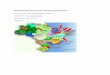 WSPA Disaster Assessment Needs Analysis ReportWSPA Disaster Assessment Needs Analysis Report ... Production animals in Batalha and Esperantina were the ... 18 th Intervention proposal