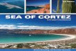SA CORTEZ - Blue Latitude Press - Go Confidently!bluelatitudepress.com/Sea_of_Cortez_sample.pdf · SA CORTEZ Shawn Breeding and ... and does not constitute endorsement, recommendation,