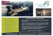 Donation Wish List Your Donations Save Lives! - Furry 5K · PDF fileto 7Sea)˘e /nima˘ She˘ter8 (addre provid-ed be˘owˆ. Seattle Animal Shelter 2061 15th Ave W, Seattle, WA 98119
