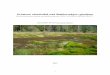 Průzkum rašeliniště nad Staňkovským rybní · PDF file1 Průzkum rašeliniště nad Staňkovským rybníkem Závěrečná zpráva projektu národního programu ČSOP„OCHRANABIODIVERZITY“