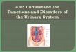 URINARY SYSTEM 6:12 - Iredell- · PDF fileFunctions: Excretion Formation of urine Fluid and electrolyte balance Elimination of urine 4.02 Understand the functions and disorders of