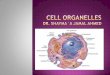 Define The cell organelles . - comed. · PDF file · 2013-12-16Define The cell organelles . Describe the comparison between prokaryotic and eukaryotic cells Determine the types of
