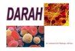 dr. Indriati Dwi Rahayu, M - indri.lecture.ub.ac.idindri.lecture.ub.ac.id/files/2014/04/darah-dan-limfatik-farmasi-ed... · SEL2 SISTEM limfatik Limfosit Sel Plasma APC Makrofag NK