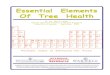 Essential Elements Of Tree Health - urban-forestry.com Elements Pu… · Essential Elements Of Tree Health Essential Elements Of Tree Health by Dr. Kim D. Coder Warnell School of