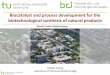Biocatalyst and process development for the ... Bio-Engineering/Natural... · Biocatalyst and process development for the biotechnological synthesis of natural products ... • Expression