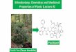 Ethnobotany: Chemistry and Medicinal Properties of Plants ... Nov 2017-JA… · Ethnobotany: Chemistry and Medicinal ... aromatic odor Essential oils: ... mustard None known--Trial