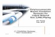 Polyisocyanurate Based Insulation Systems for Liquid ... · PDF filePolyisocyanurate Based Insulation Systems for Liquid Natural Gas (LNG) Piping Jim Young Feb. 2015 Feb, 2015 1