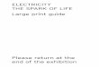 ELECTRICITY THE SPARK OF LIFE Large print guide · PDF fileELECTRICITY THE SPARK OF LIFE Large print guide ... of the Leyden jar ... make a spark strike the pointed metallic
