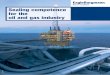 Sealing competence for the oil and gas industry · PDF fileSealing competence for the oil and gas industry ... seal (type SHF-D11) for ... on­ and offshore and subsea applications