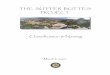 THE SUTTER BUTTES PROJECT - California State Parks · PDF fileSutter Buttes Classification & Naming 1 March 2005 INTRODUCTION In 2003, California State Parks acquired a 1,785 acre