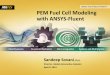 Fuel Cell Modeling with ANSYS-Fluentregister.ansys.com.cn/ansyschina/minisite/201411_em/motordesign... · ANSYSs-Fluent’s standard post -processing features are all available with