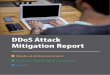 DDoS Attack Mitigation Report - · PDF fileper month became the target of a devastating DDoS distributed denial of service attack. Some DDoS attackers in ... IP addresses . “Someone