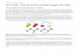 Prentice Hall Biology Textbook 12-1 DNA The Structure of ... · PDF filePrentice Hall Biology Textbook Chargaff's Rules One of the puzzling facts about DNA was a curious relationship