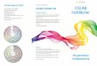 CIELAB Farbfä · PDF fileCIELAB Fächerset CMYK Ausführliche Informationen HLC: 232 Seiten, 1032 Farbtöne ... True Color. RGB- und HEX-Farbwerte sind für Bildschirmzwecke, Web
