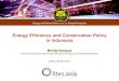 Energy Efficiency and Conservation Policy in · PDF fileEnergy Efficiency and Conservation Policy in Indonesia Maritje Hutapea Director of Energy Conservation, Ministry of Energy and