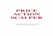 PRICE ACTION SCALPER - Currency Trading - · PDF file3 How it works: The “Price Action Scalper” system based on a strong current trend confirmation entry signal which is very easy