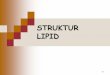 STRUKTUR LIPID - · PDF fileMengapa lipid penting? Lipidmerupakan komponen penting membranseluruh mahluk hidup Termasuk bakteri Membran penting karena menjaga sitoplasma tetap utuh