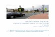 Pedestrian Safety Action Plan - New York · PDF file1 new york state pedestrian safety action plan date: june 20, 2016