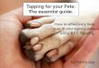 Tapping for your Pets: The essential guide. · PDF fileTapping for your Pets: The essential guide. How to effectively help your ill and ageing pets using EFT Tapping. by Ferris Jay