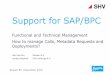 Support for SAP/BPC -  · PDF fileStream BV | December 2010 Support for SAP/BPC Functional and Technical Management How to manage Calls, Metadata Requests