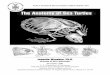 The Anatomy of Sea Turtles - Woods Hole Oceanographic ...csi.whoi.edu/sites/default/files/literature/SeaTurtle Anatomy Part... · The Anatomy of Sea Turtles Jeanette Wyneken, 