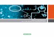 Stem Cell Basics for Life Science Researchers - Bio- · PDF fileWhether you are imaging western blots to view expression ... Stem Cell Basics for Life Science Researchers ... the first