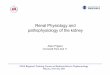 Renal Physiology and pathophysiology of the kidney · PDF fileRenal Physiology and pathophysiology of the kidney ... GFR human = ClX = ... Renal Physiology and pathophysiology of the