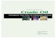 Interim Report on Crude Oil - Home - · PDF filemarket. This staff report is preliminary in nature, ... the Task Force has prepared this interim report on crude oil, which offers a