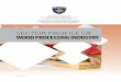 SECTOR PROFILE OF WOOD PROCESSING INDUSTRY · PDF fileother costs and the supply of inputs ... Outputs: value and structure ... 2030 ‘Manufacture builders’ carpentry & joinery’