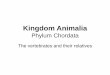 Kingdom Animalia Phylum Chordataaaitken.weebly.com/uploads/5/5/7/4/55745595/chordata.pdf · Phylum Chordata 5 Characteristics of ... –Have a simple digestive system, heart, and