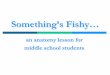 SomethingSomething’’s Fishys  · PDF fileSomethingSomething’’s Fishys Fishy ... Fish Dissection: ... External anatomy features can help us when fishing