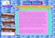 th Pre Nursery Newsletter Volume 8 - Pathways | Best IB ... · PDF filePre Nursery Newsletter – Volume 8 ... Balloon Dabbing: Students dabbed with paint using balloon and was thrilled