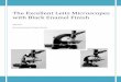 The Excellent Leitz Microscopes with Black Enamel Finish · PDF file2 The Excellent Leitz Microscopes with Black Enamel Finish ... all readers for their interest in ... 9 The Excellent