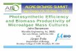 Photosynthetic Efficiency and Biomass Productivity of …algaebiomass.org/wp-content/gallery/2012-algae-biomass-summit/201… · Photosynthetic Efficiency and Biomass Productivity